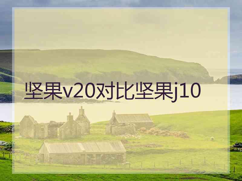 坚果v20对比坚果j10