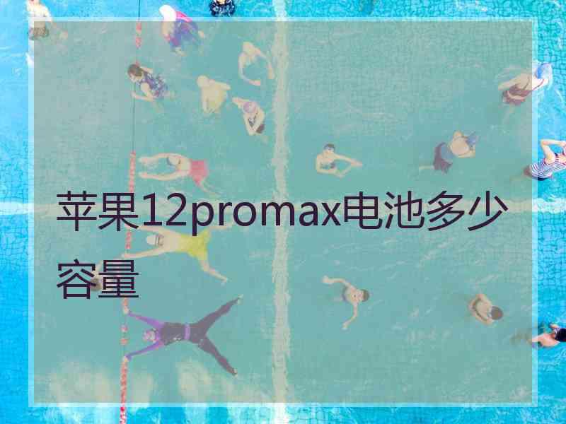 苹果12promax电池多少容量