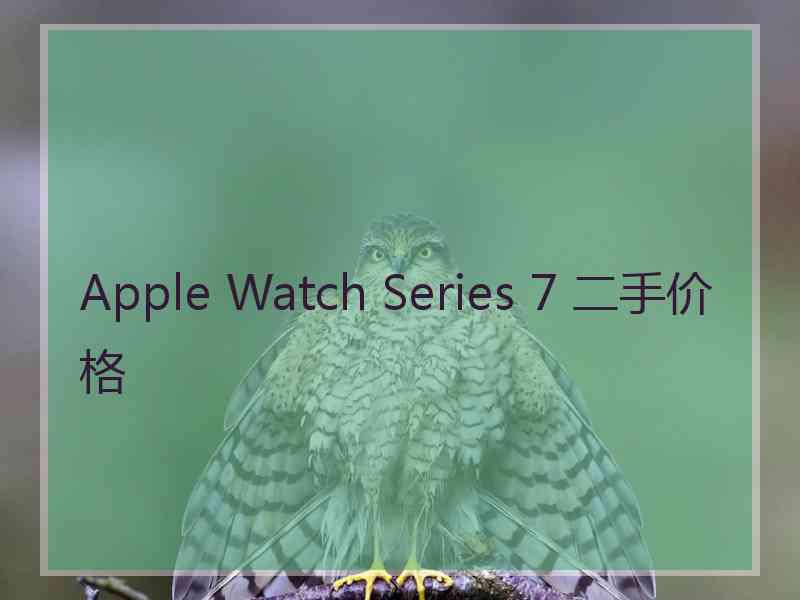 Apple Watch Series 7 二手价格