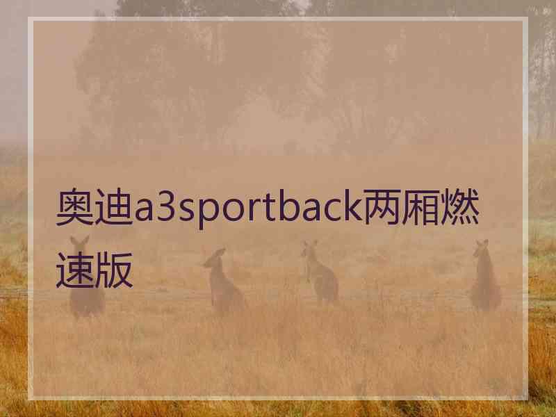 奥迪a3sportback两厢燃速版