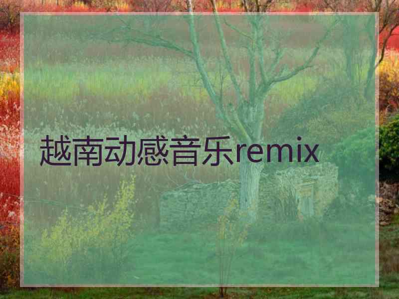 越南动感音乐remix