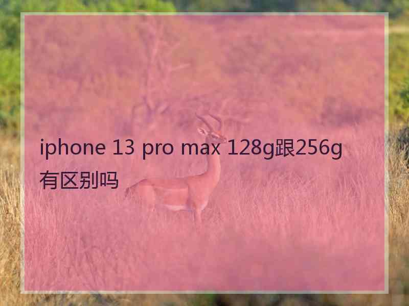 iphone 13 pro max 128g跟256g有区别吗