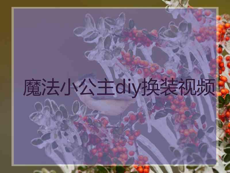 魔法小公主diy换装视频