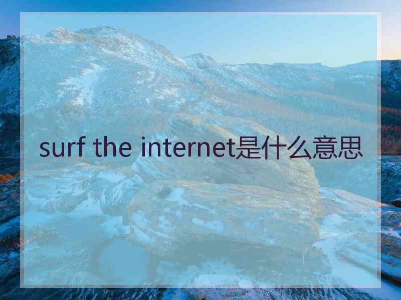 surf the internet是什么意思