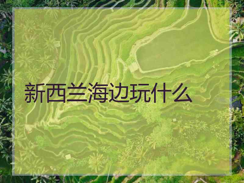 新西兰海边玩什么