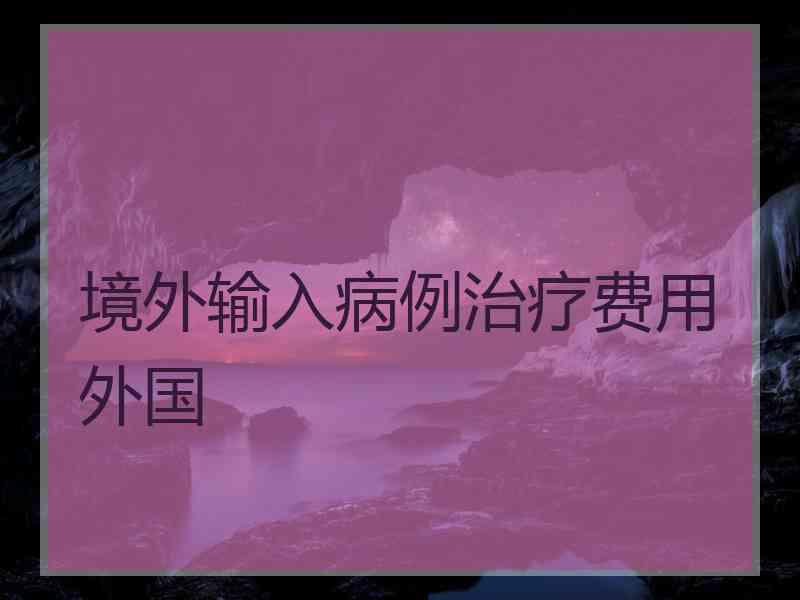 境外输入病例治疗费用外国