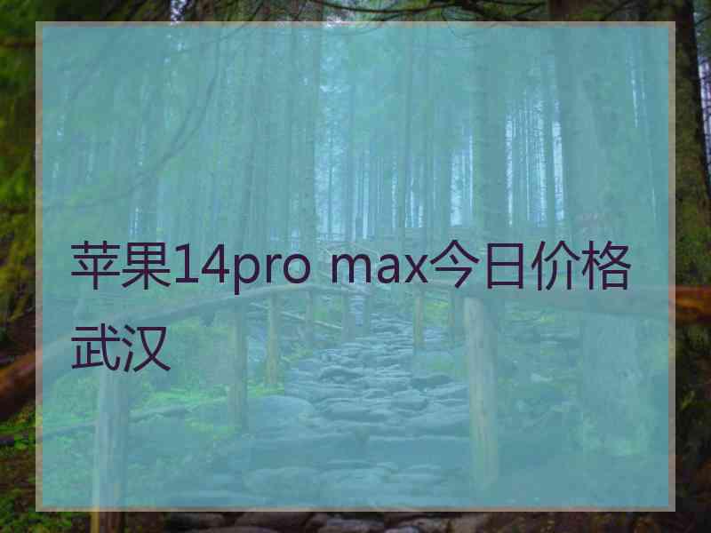 苹果14pro max今日价格武汉