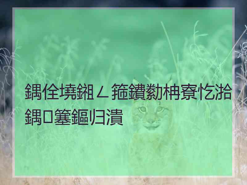 鍝佺墝鎺ㄥ箍鐨勬柟寮忔湁鍝簺鏂归潰