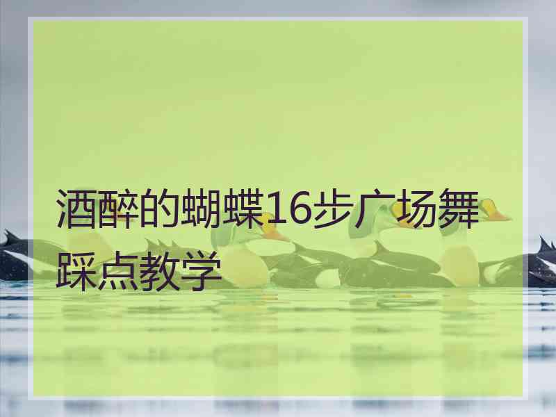 酒醉的蝴蝶16步广场舞踩点教学