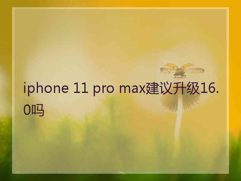 iphone 11 pro max建议升级16.0吗