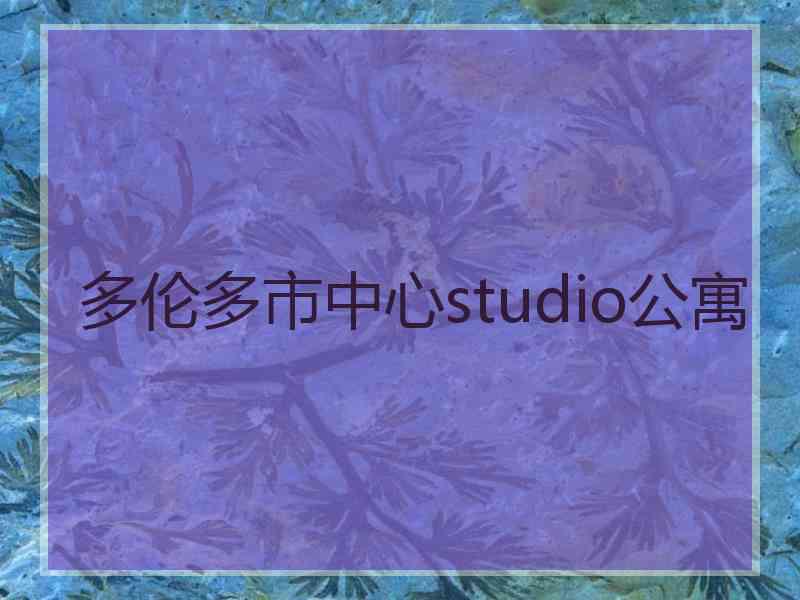 多伦多市中心studio公寓