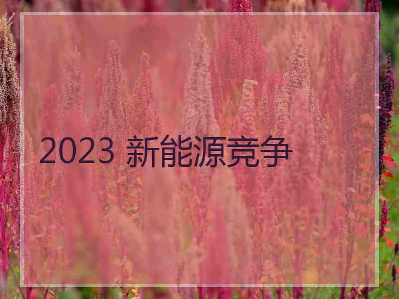 2023 新能源竞争