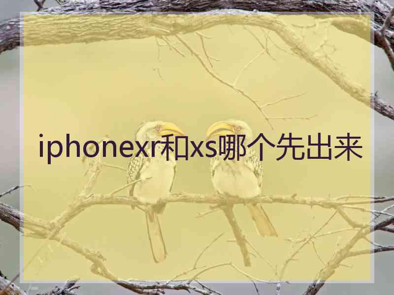 iphonexr和xs哪个先出来