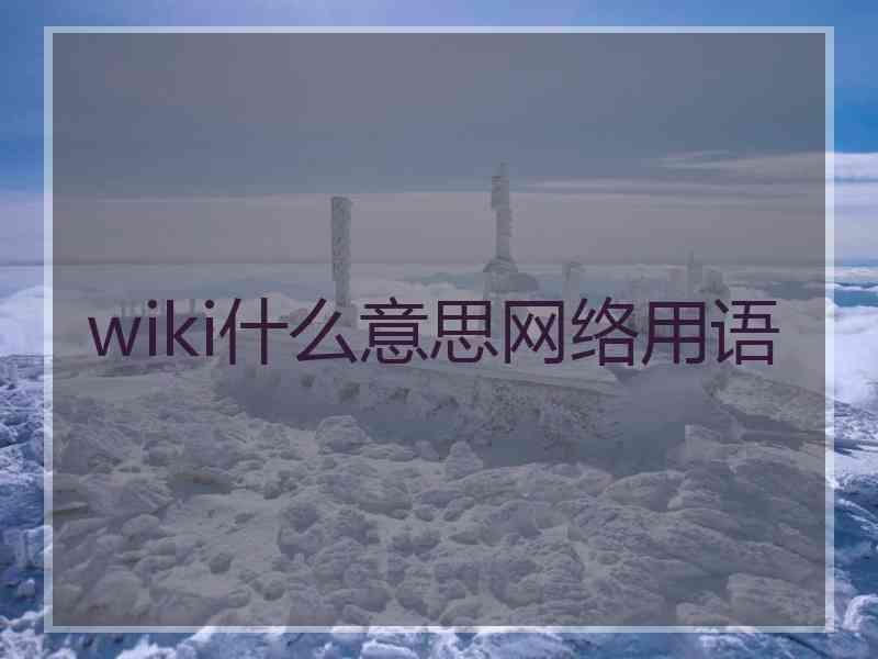 wiki什么意思网络用语