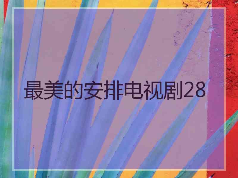 最美的安排电视剧28