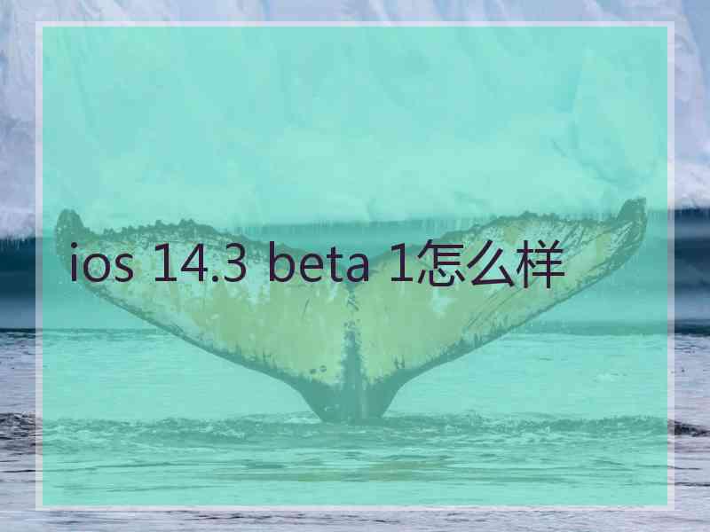 ios 14.3 beta 1怎么样