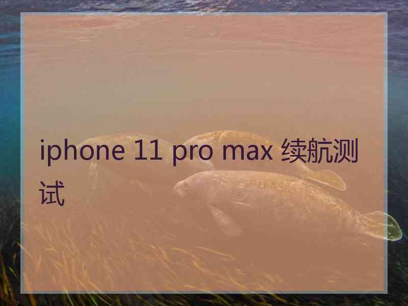 iphone 11 pro max 续航测试