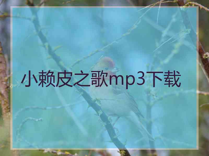 小赖皮之歌mp3下载