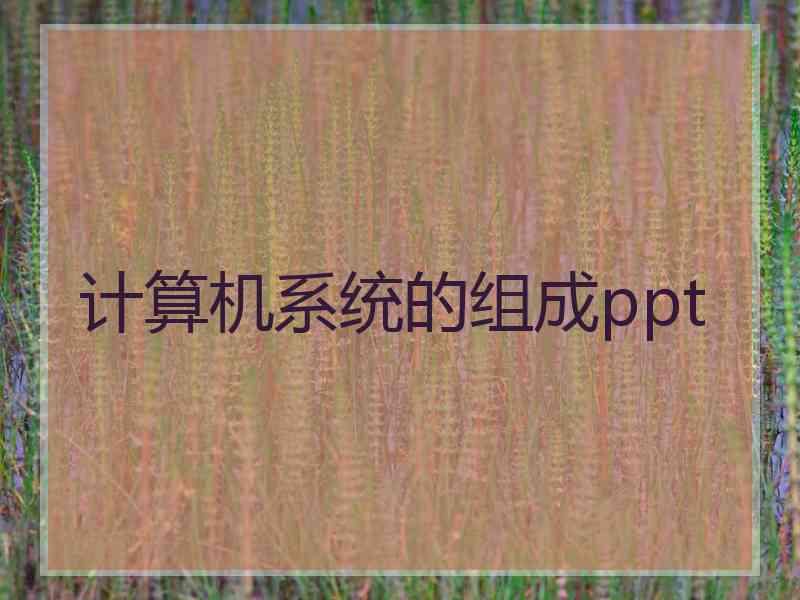 计算机系统的组成ppt