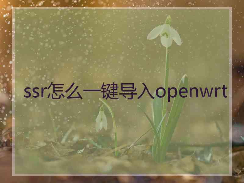 ssr怎么一键导入openwrt