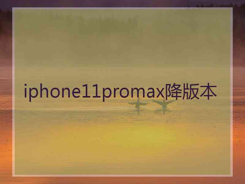 iphone11promax降版本