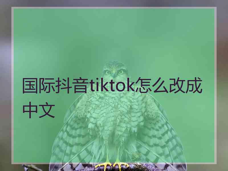 国际抖音tiktok怎么改成中文