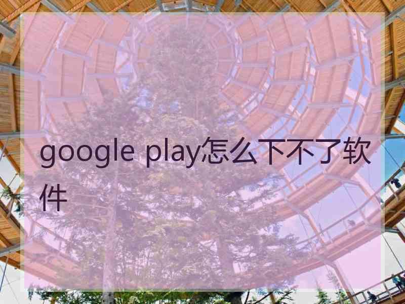 google play怎么下不了软件