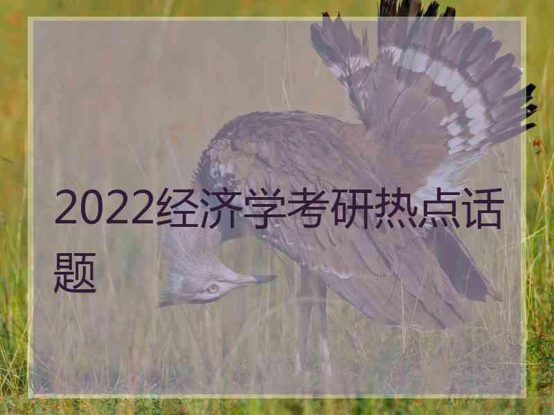 2022经济学考研热点话题