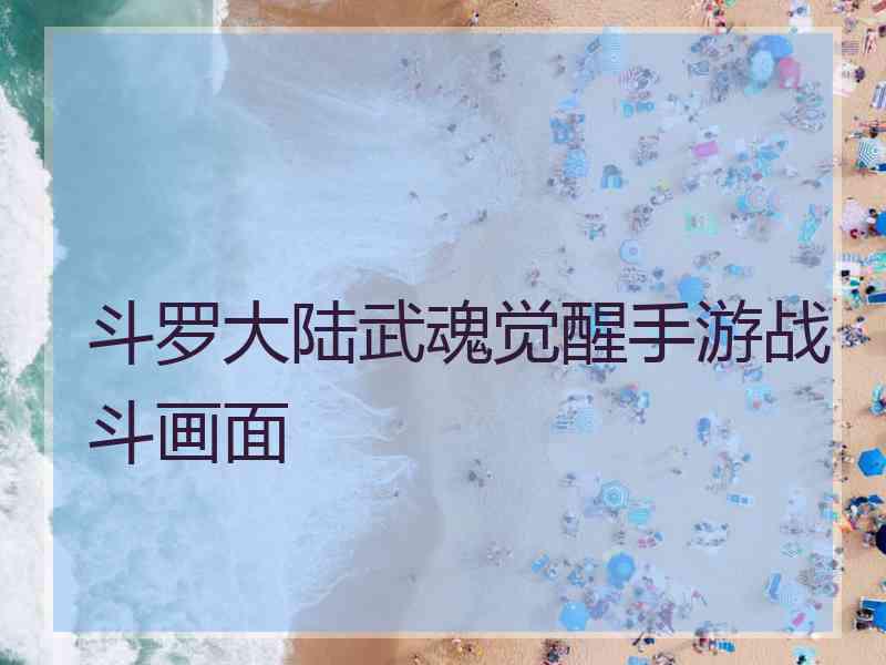 斗罗大陆武魂觉醒手游战斗画面