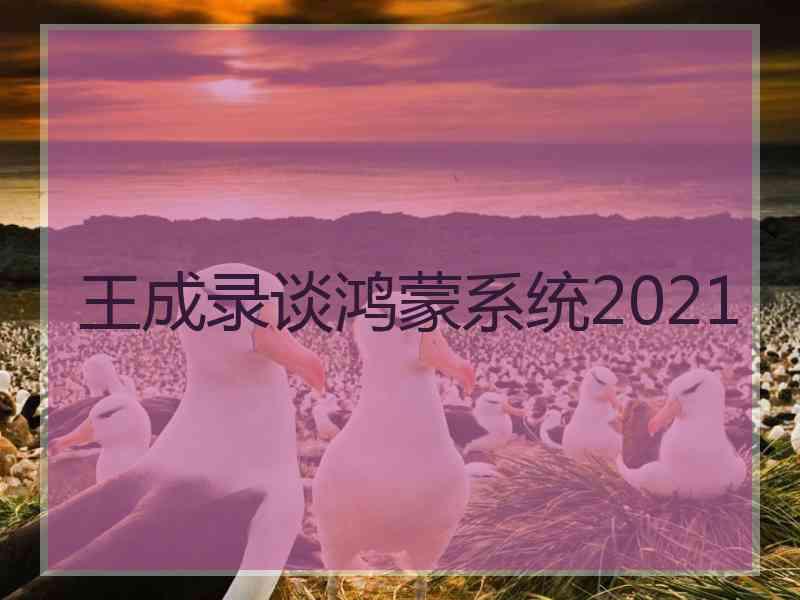 王成录谈鸿蒙系统2021