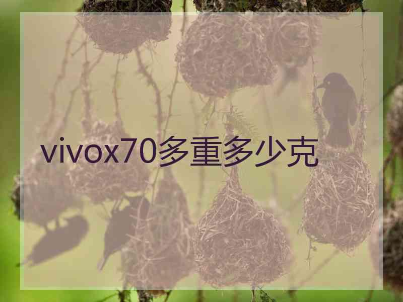 vivox70多重多少克