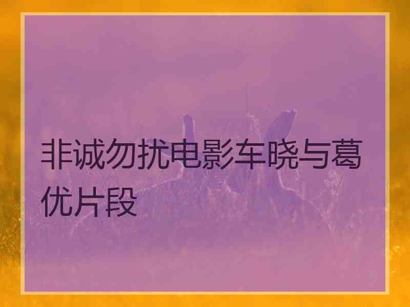 非诚勿扰电影车晓与葛优片段