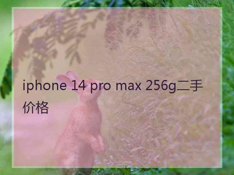 iphone 14 pro max 256g二手价格