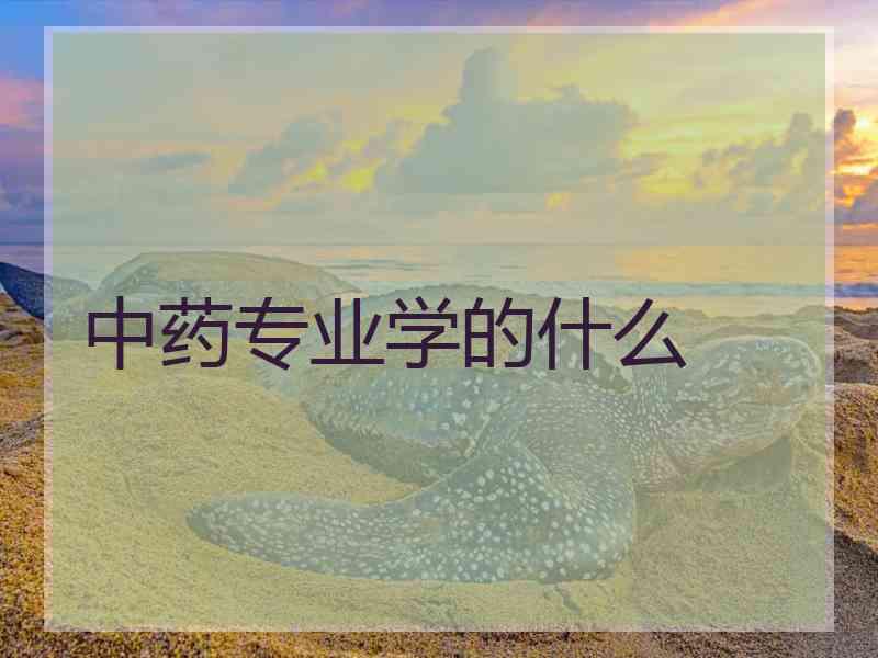 中药专业学的什么