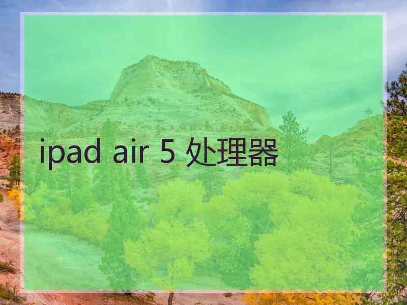 ipad air 5 处理器