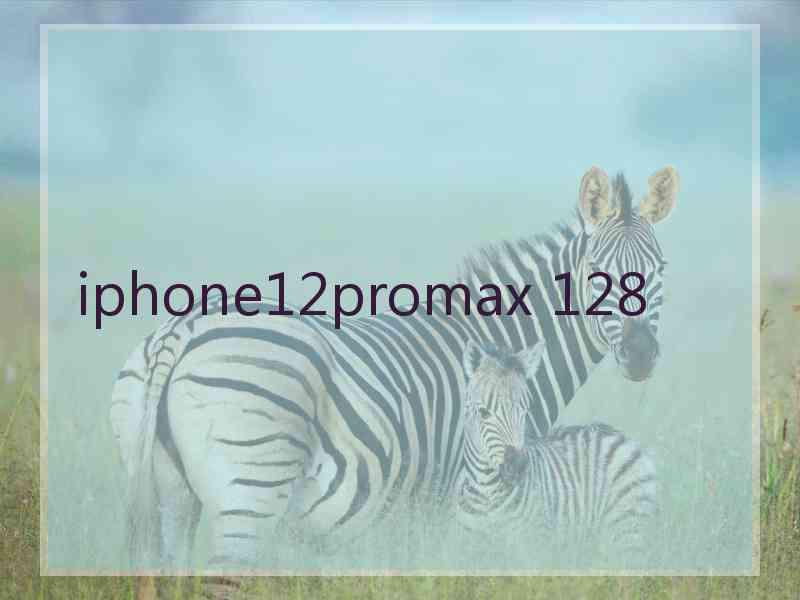 iphone12promax 128