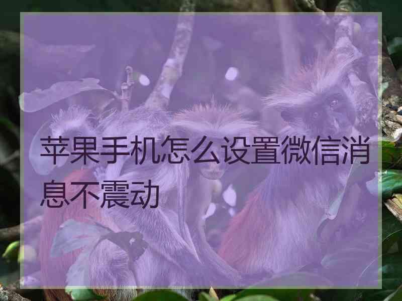 苹果手机怎么设置微信消息不震动