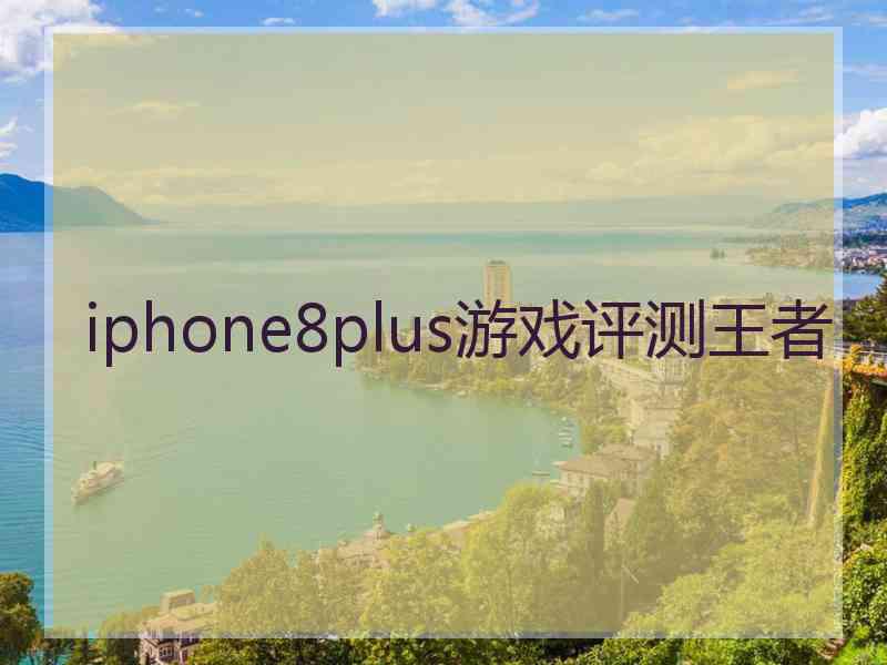 iphone8plus游戏评测王者