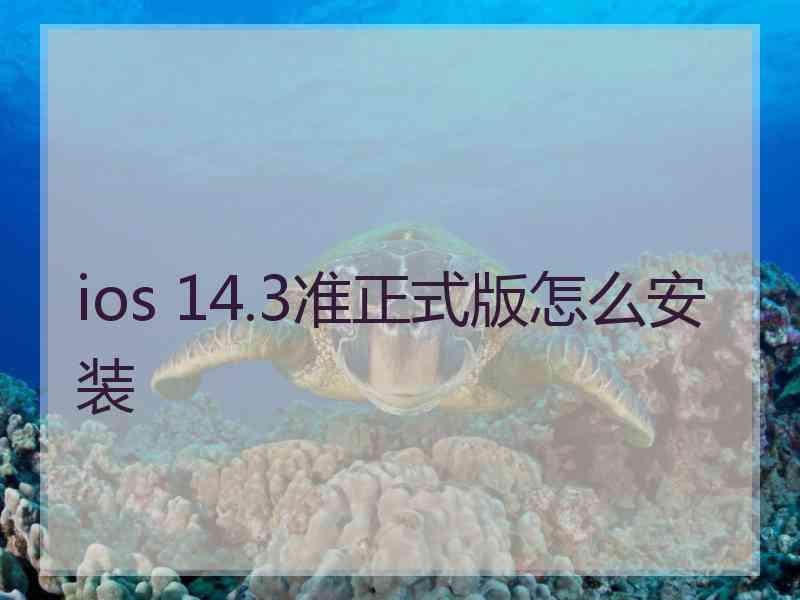 ios 14.3准正式版怎么安装