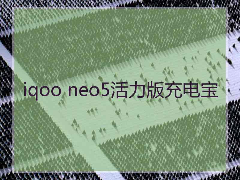 iqoo neo5活力版充电宝