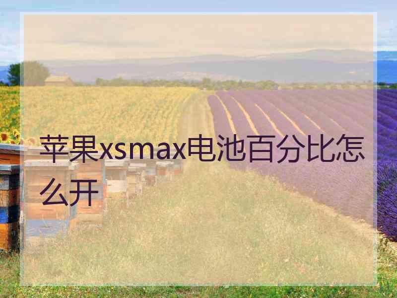 苹果xsmax电池百分比怎么开