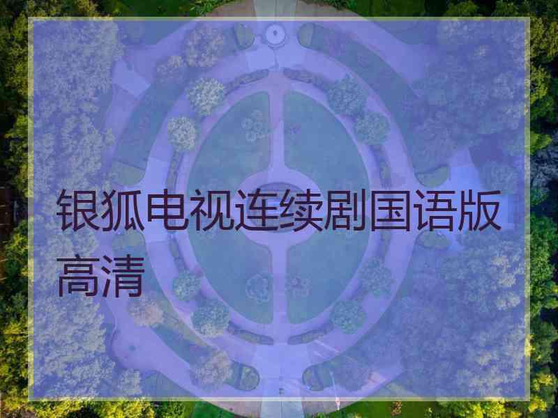 银狐电视连续剧国语版高清