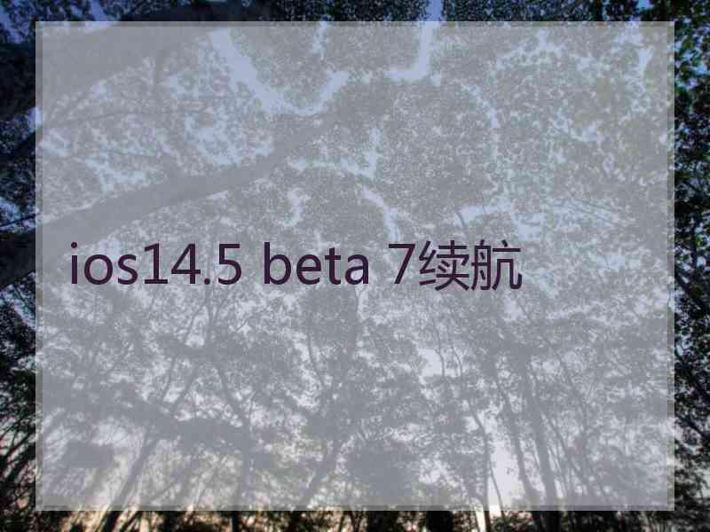 ios14.5 beta 7续航