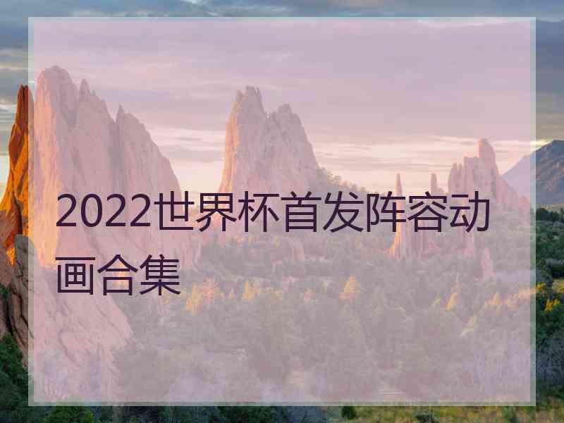 2022世界杯首发阵容动画合集