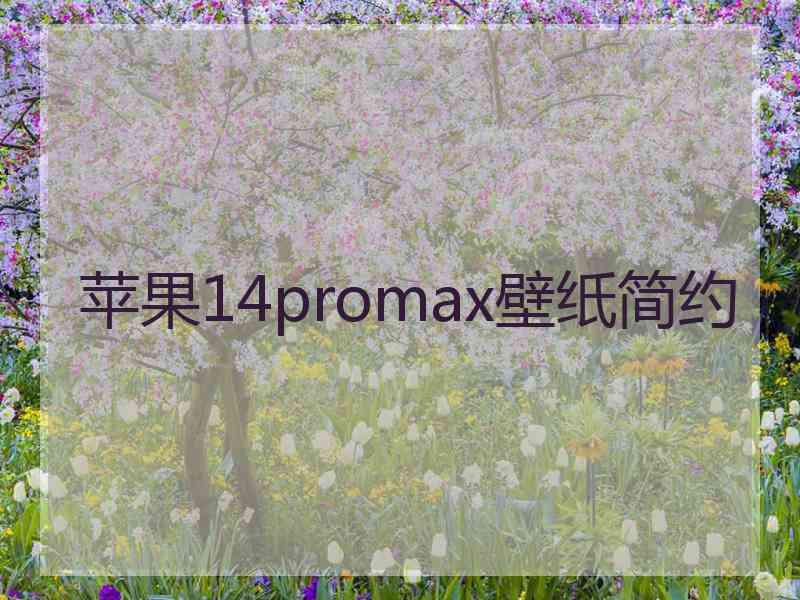 苹果14promax壁纸简约