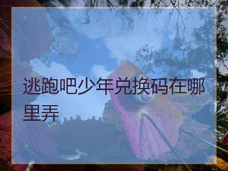 逃跑吧少年兑换码在哪里弄