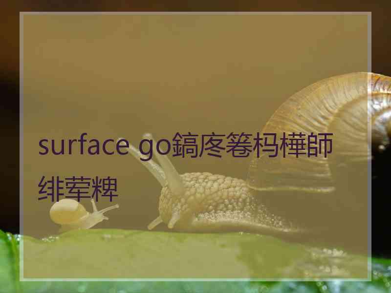 surface go鎬庝箞杩樺師绯荤粺