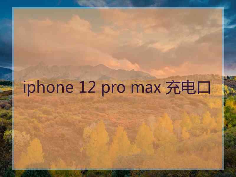 iphone 12 pro max 充电口