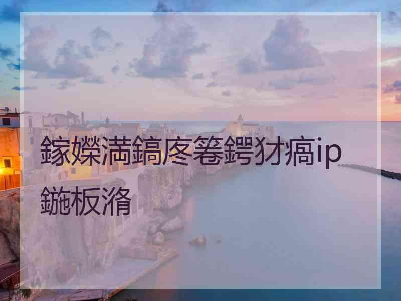 鎵嬫満鎬庝箞鍔犲瘑ip鍦板潃