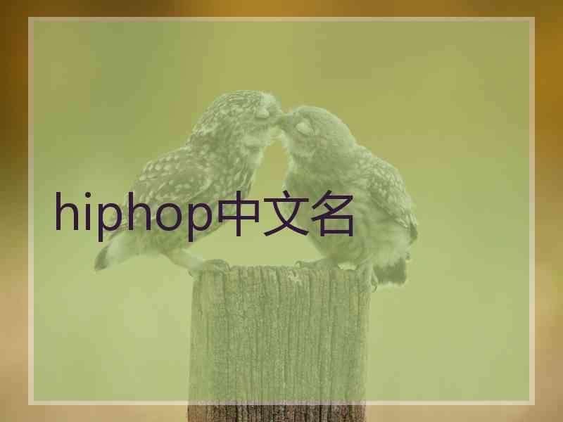 hiphop中文名